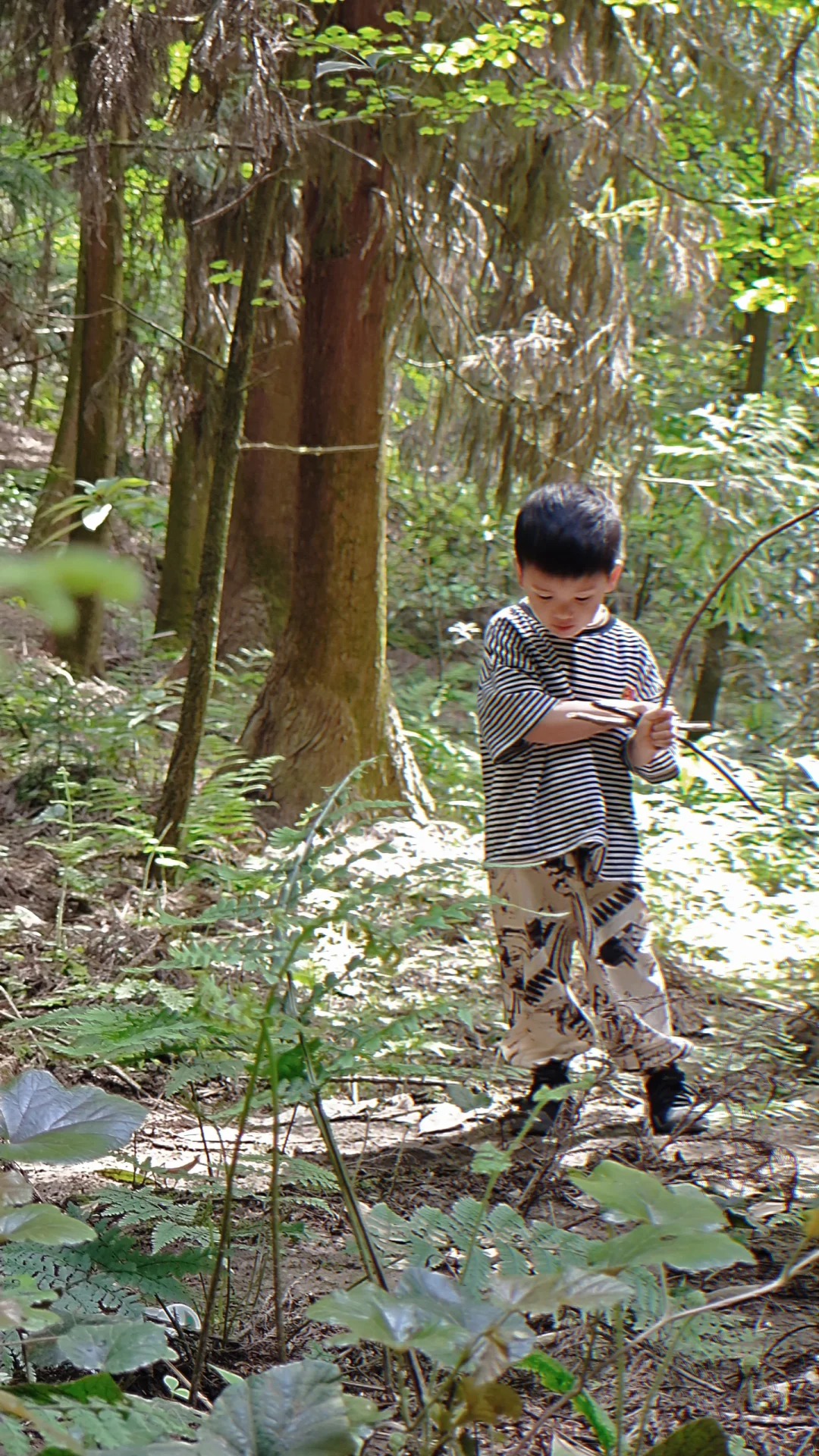 上班不如和我们一起上山⛰️