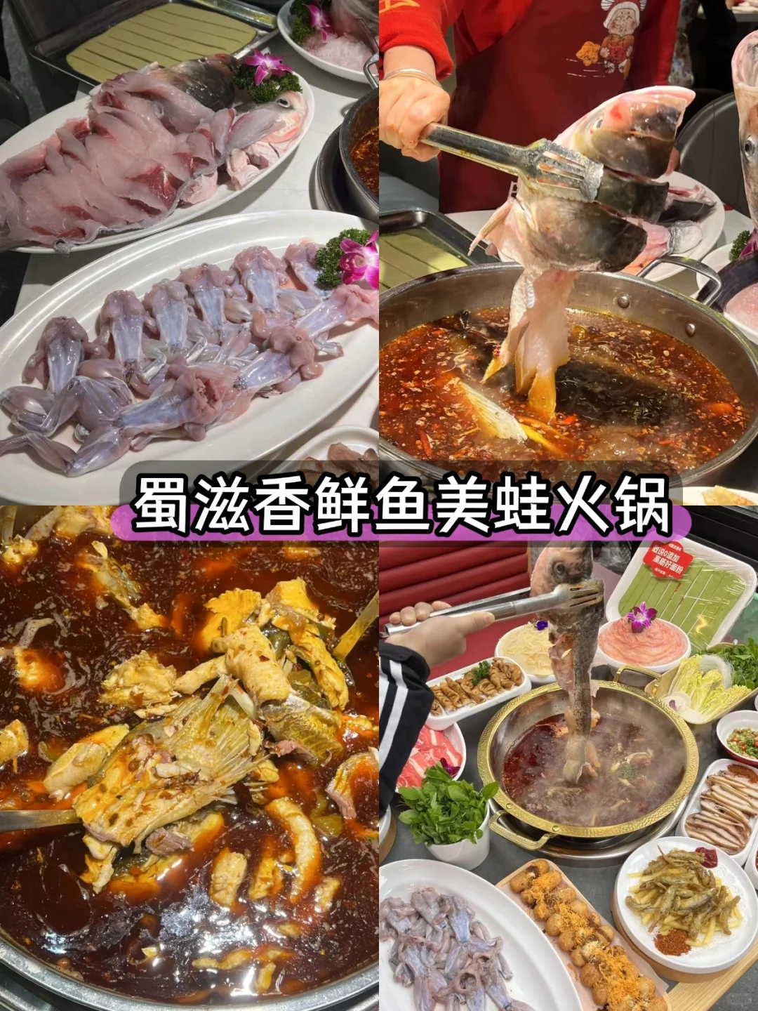 成都超详细懒人攻略！3天2夜不踩雷！