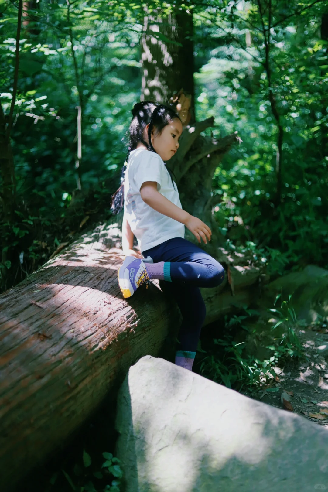 成都📍1h直达！巨凉快！不费腿避暑宝藏徒步地