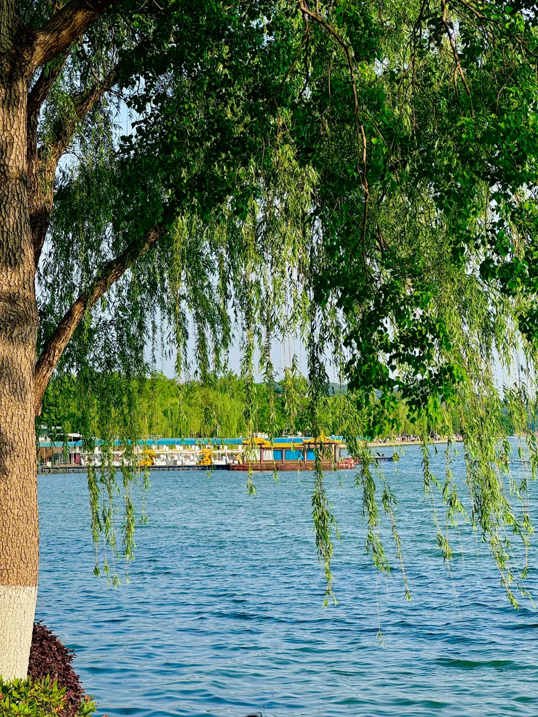 我宣布，这是南京最值得去的免费景区……