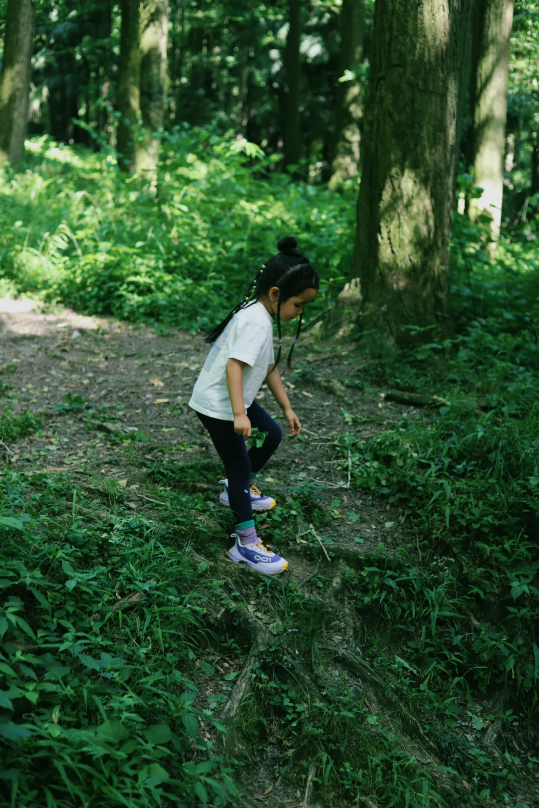 成都📍1h直达！巨凉快！不费腿避暑宝藏徒步地