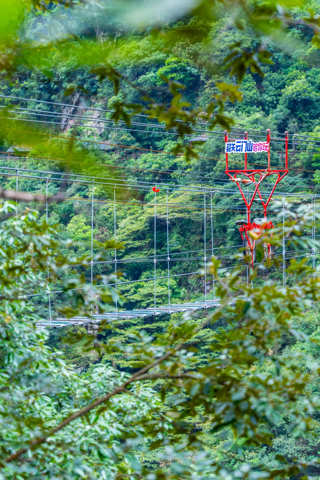 带胆量来云门山收！