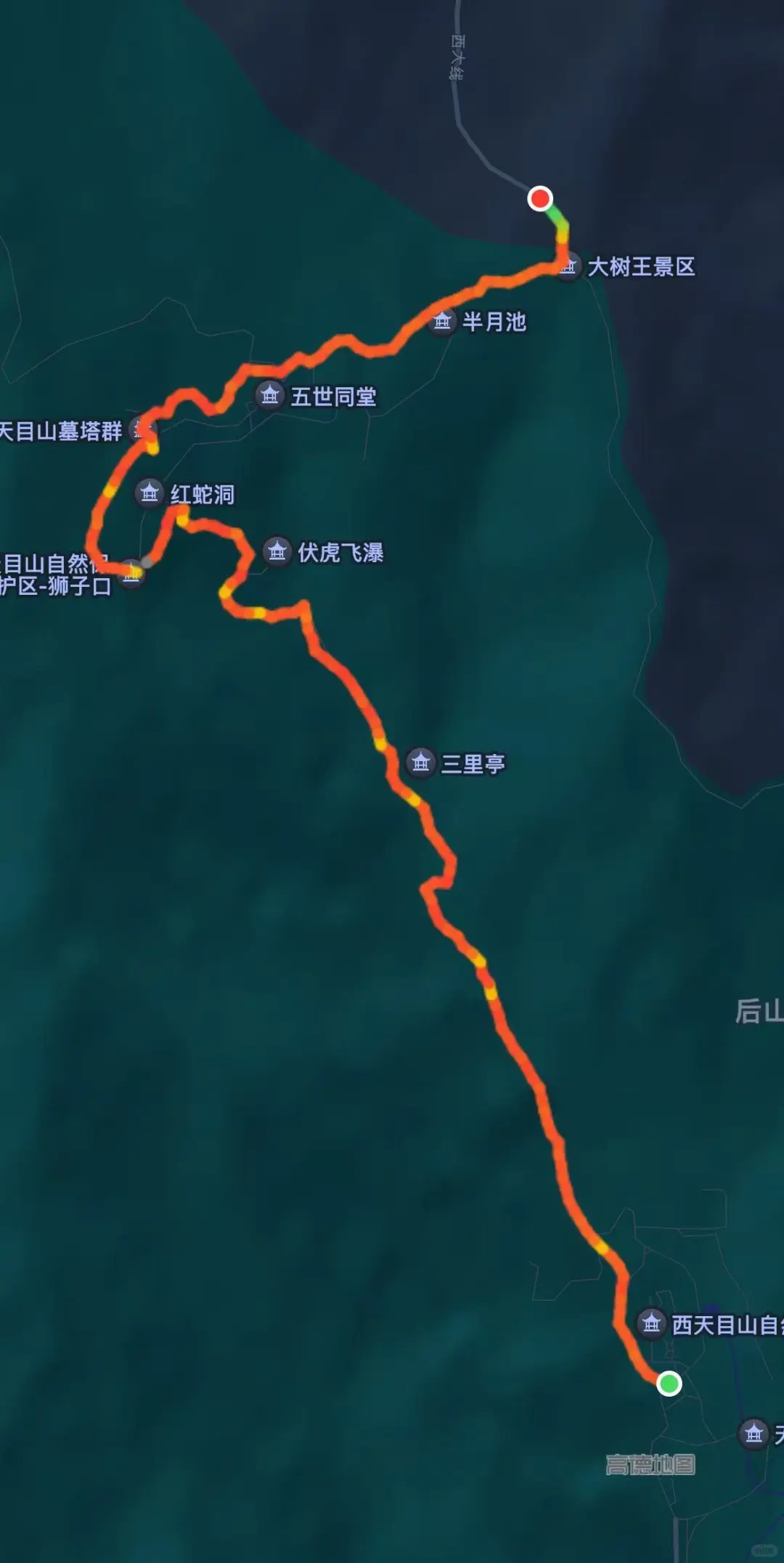 盛夏来临之前，有幸遇见