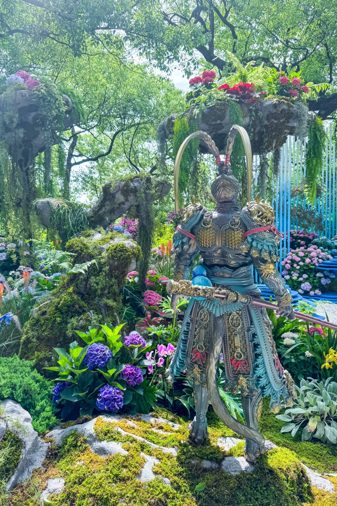 今年的绣球花展，吴山天风赢麻了！🌸