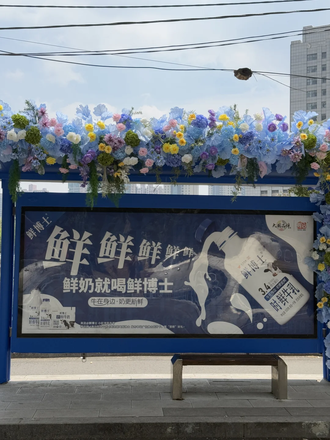 📣沈阳惊现超浪漫公交站！