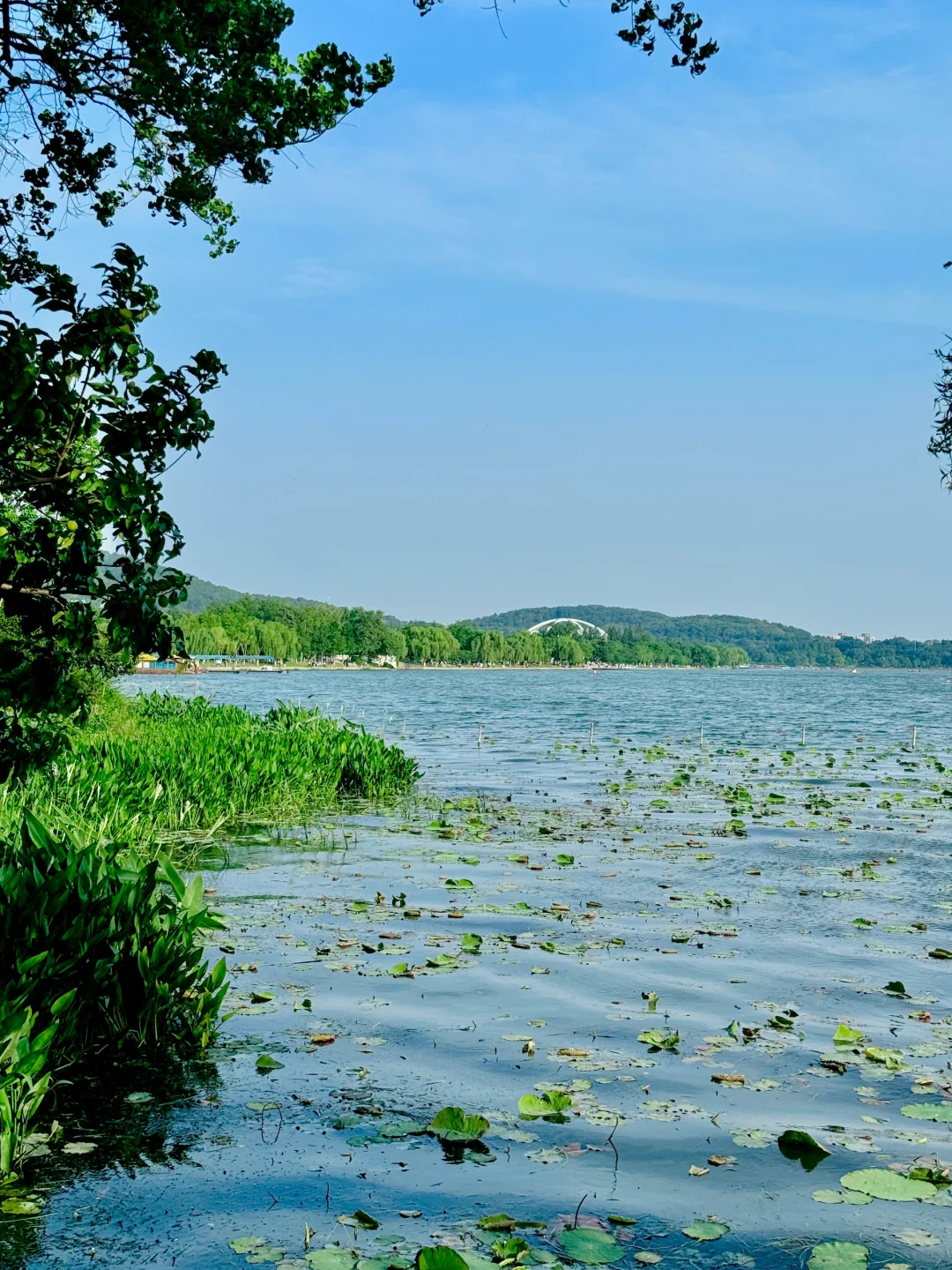 我宣布，这是南京最值得去的免费景区……