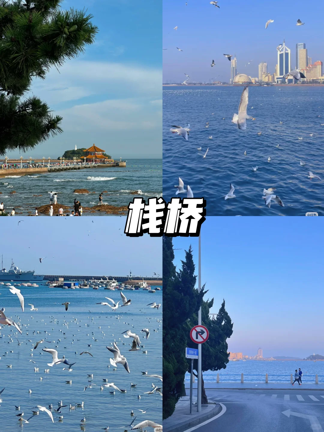 青岛三天两夜超全游玩攻略🚶‍♀️ 看这一篇就