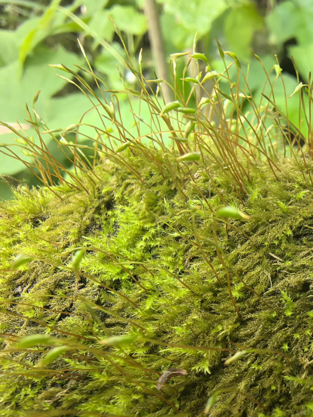 盛夏来临之前，有幸遇见