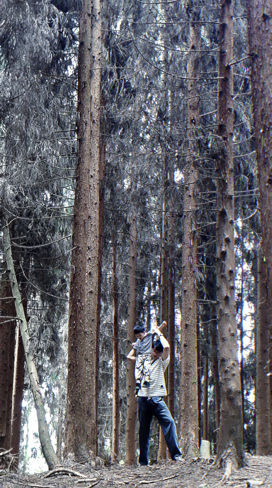 上班不如和我们一起上山⛰️