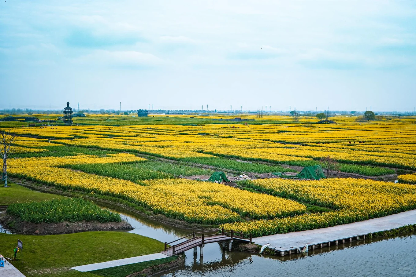 🌼千垛景区 | 水上花田的梦幻诗篇