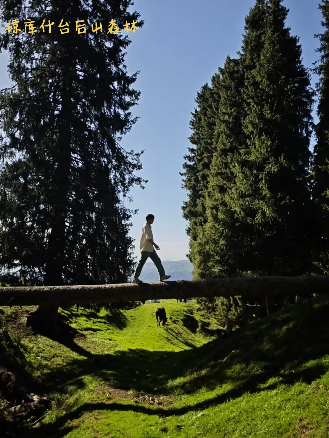 北疆旅游，全网最详细攻略！