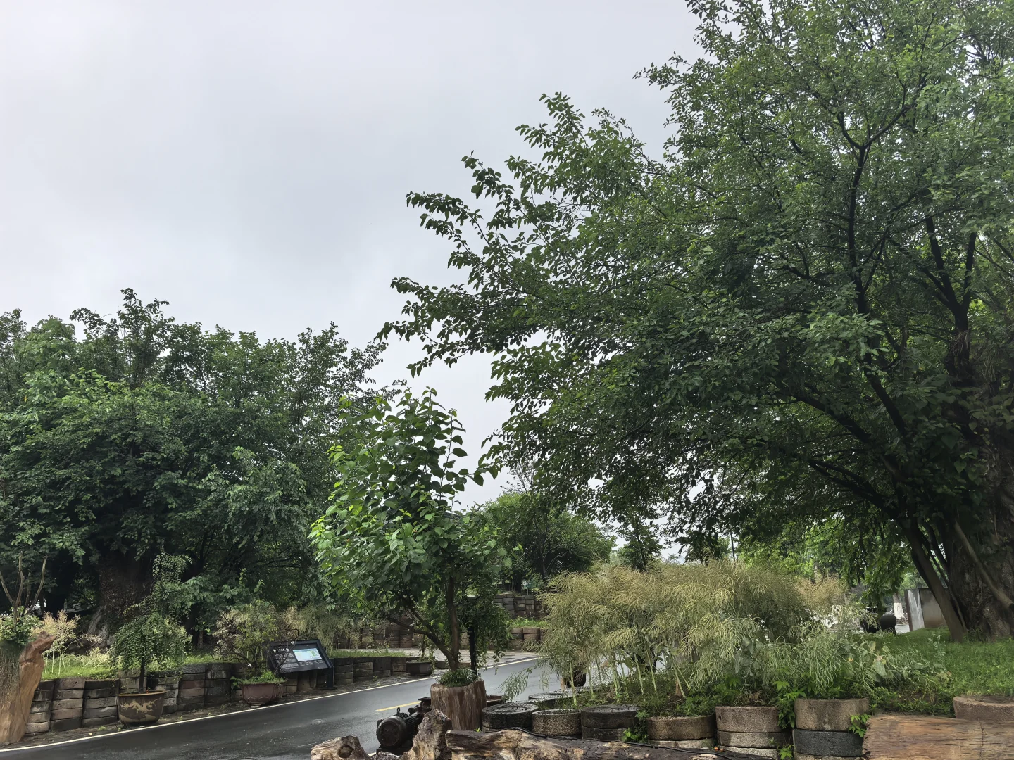 新昌打卡·达利丝绸景区