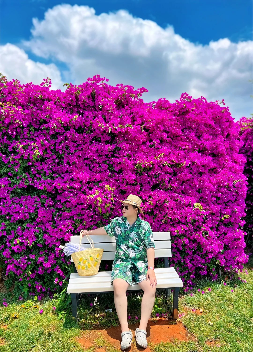 为了这片花海，特意✈️一趟云南，弥勒好美😻