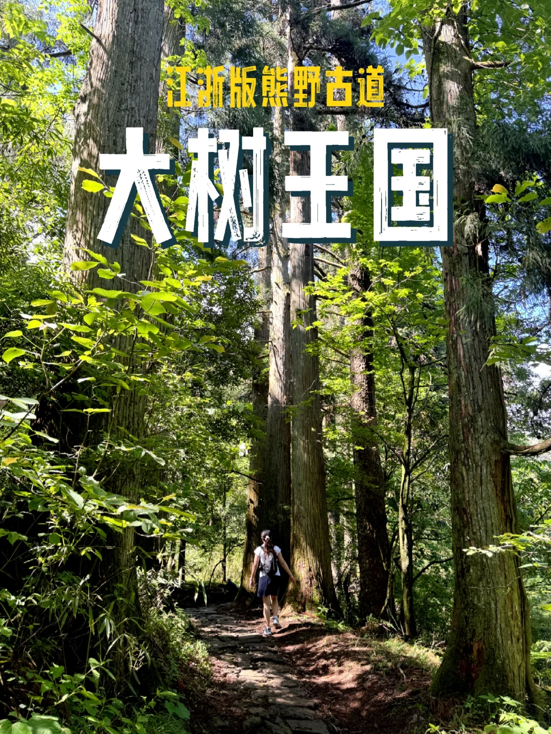 盛夏来临之前，有幸遇见