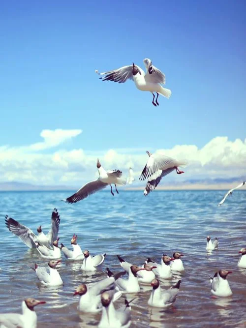 🏞️五月份必去的六大绝美景点！速速出发