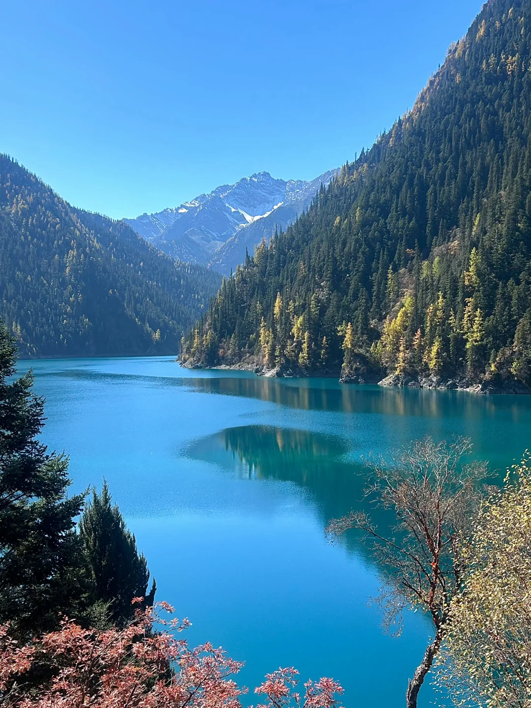 四川高原三大“顶流”九寨沟稻城四姑娘山攻略