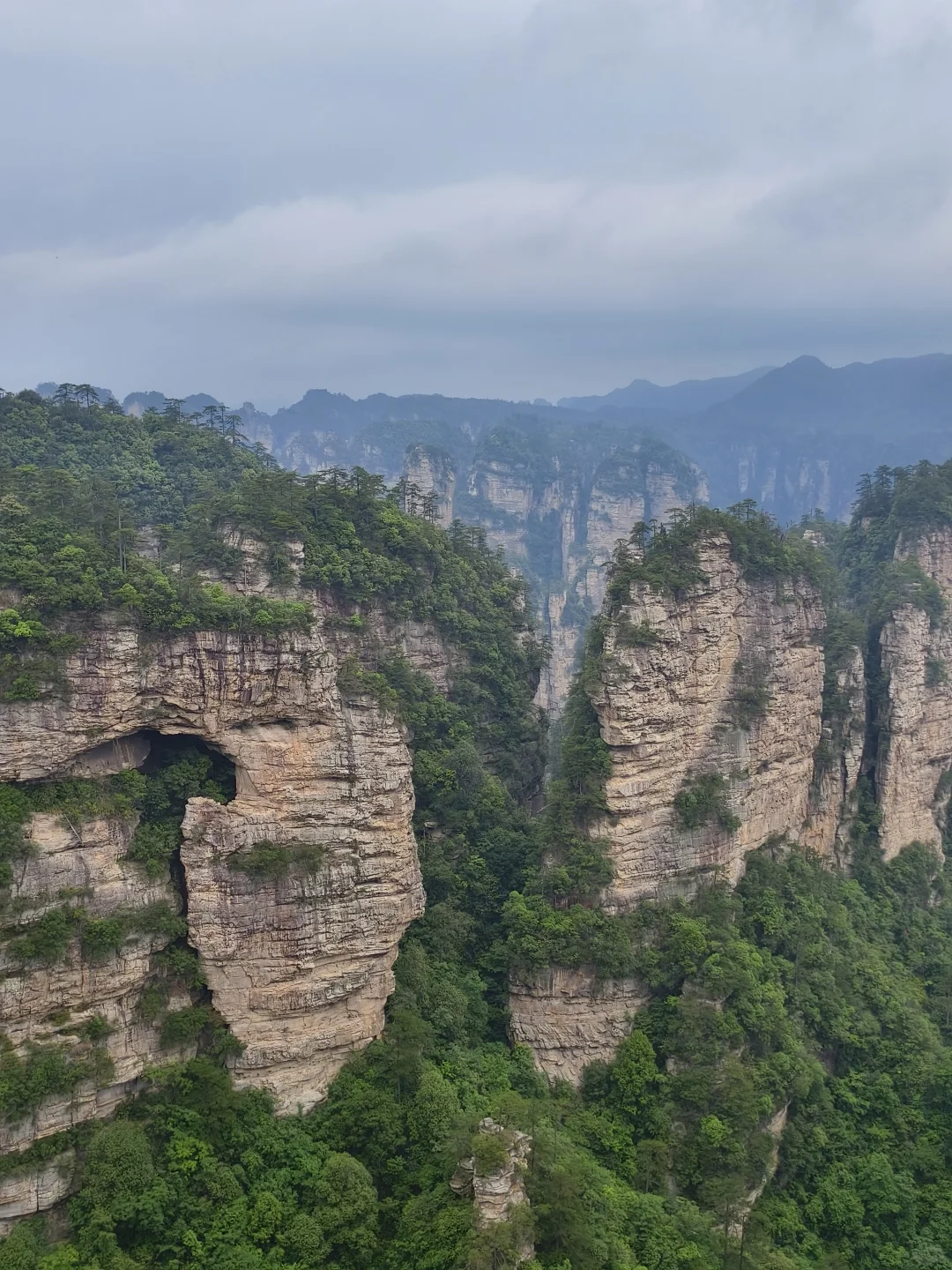 5.20森林公园南门9.30进不排队的一天