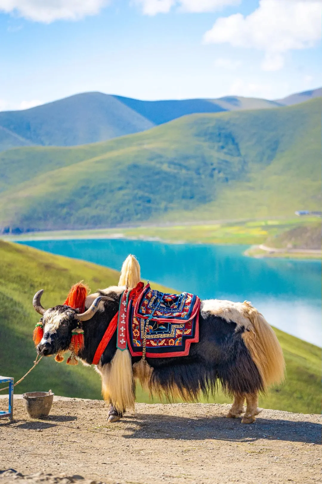 珠峰5日游经典线路及攻略