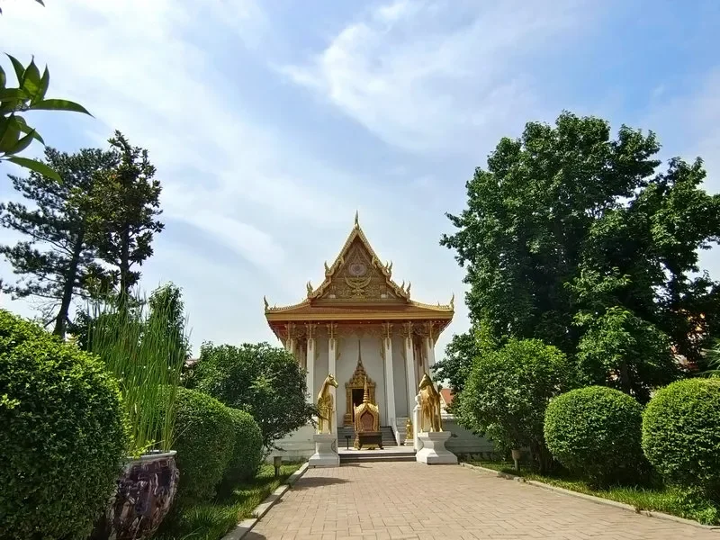 特种兵速进！4天解锁洛阳宝藏玩法