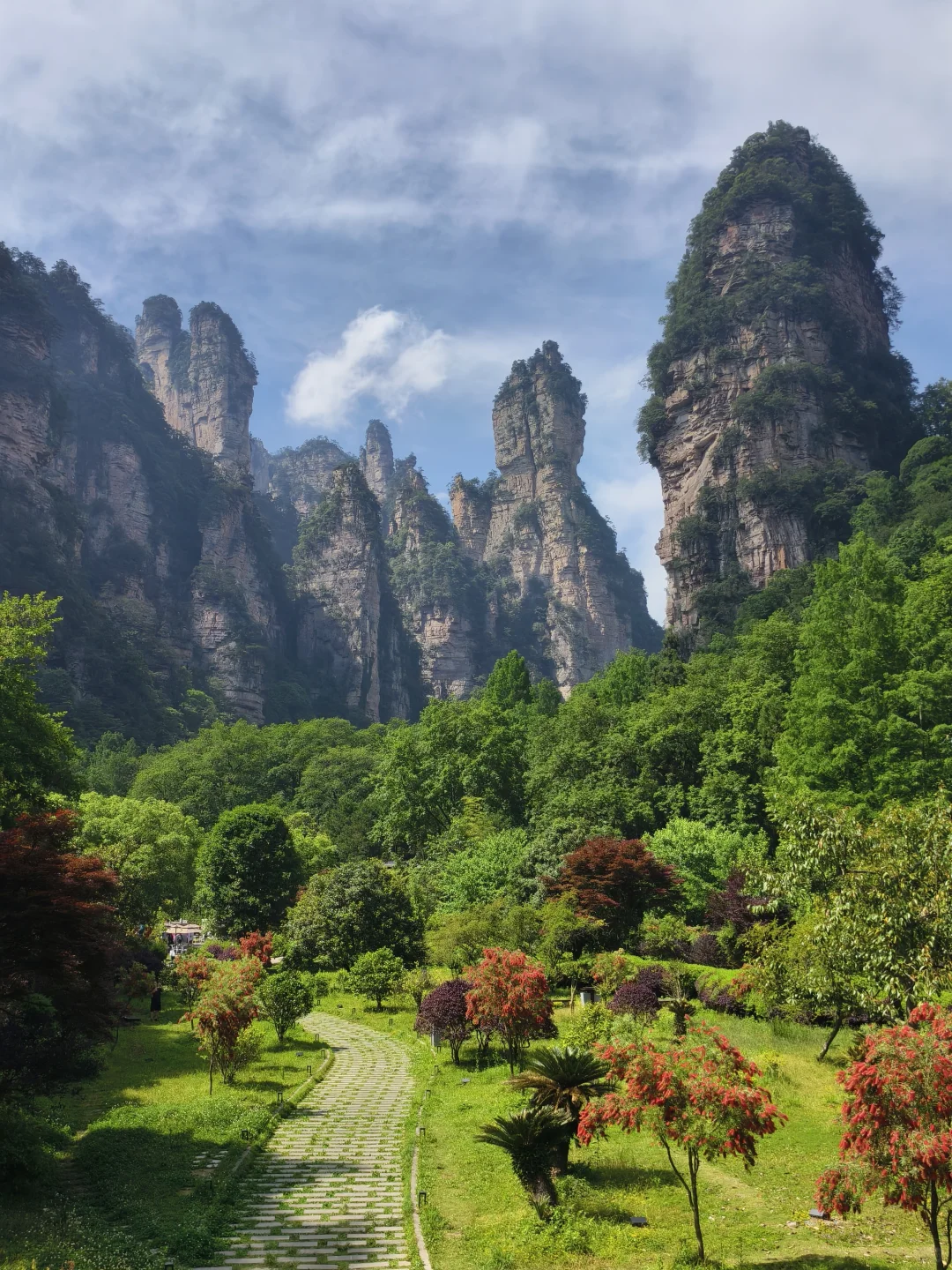 5.20森林公园南门9.30进不排队的一天