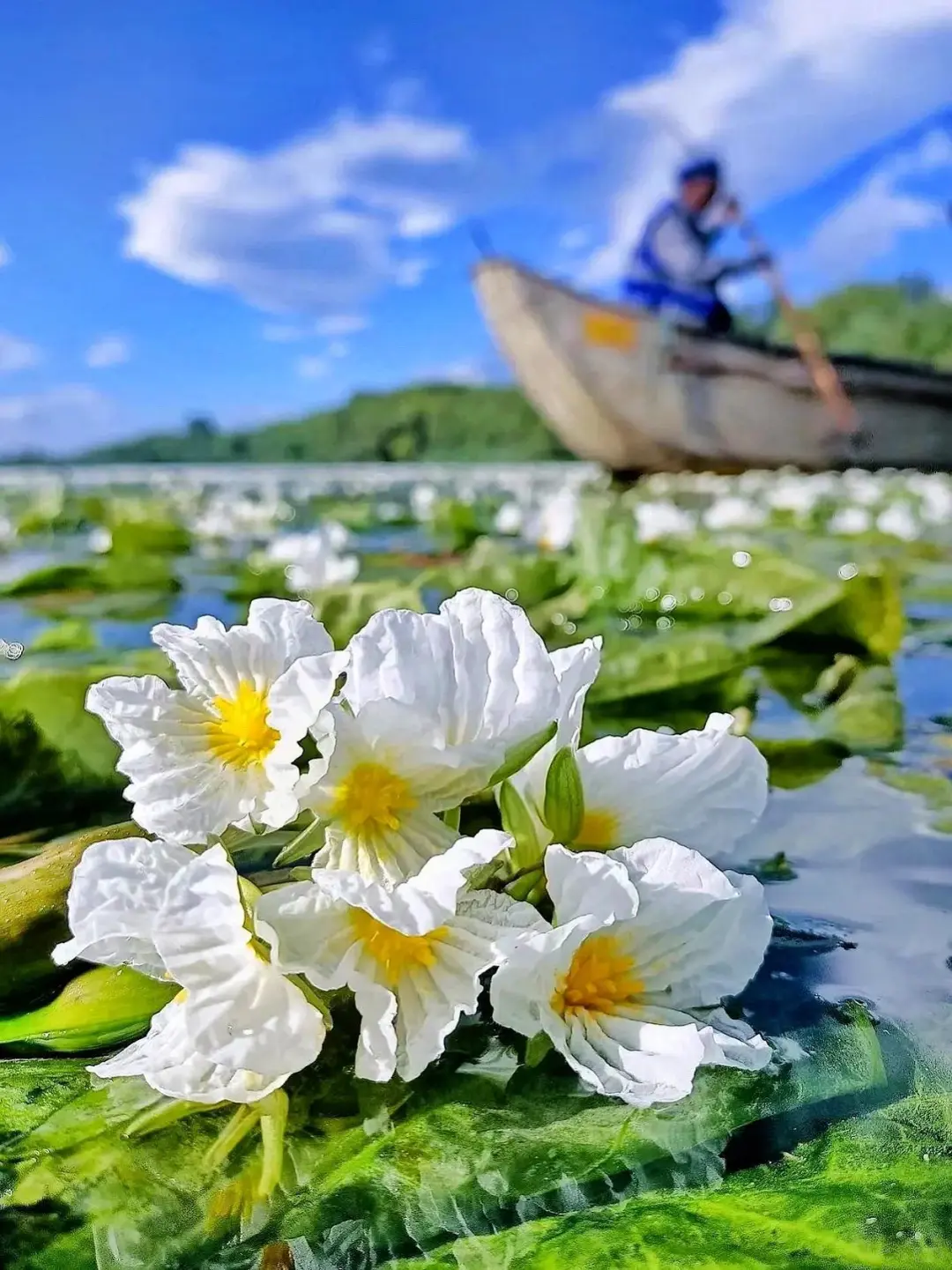 5.20📍泸沽湖已回,我的建议是…