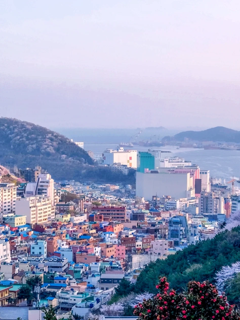 釜山比首尔好玩太多了，性价比更高！