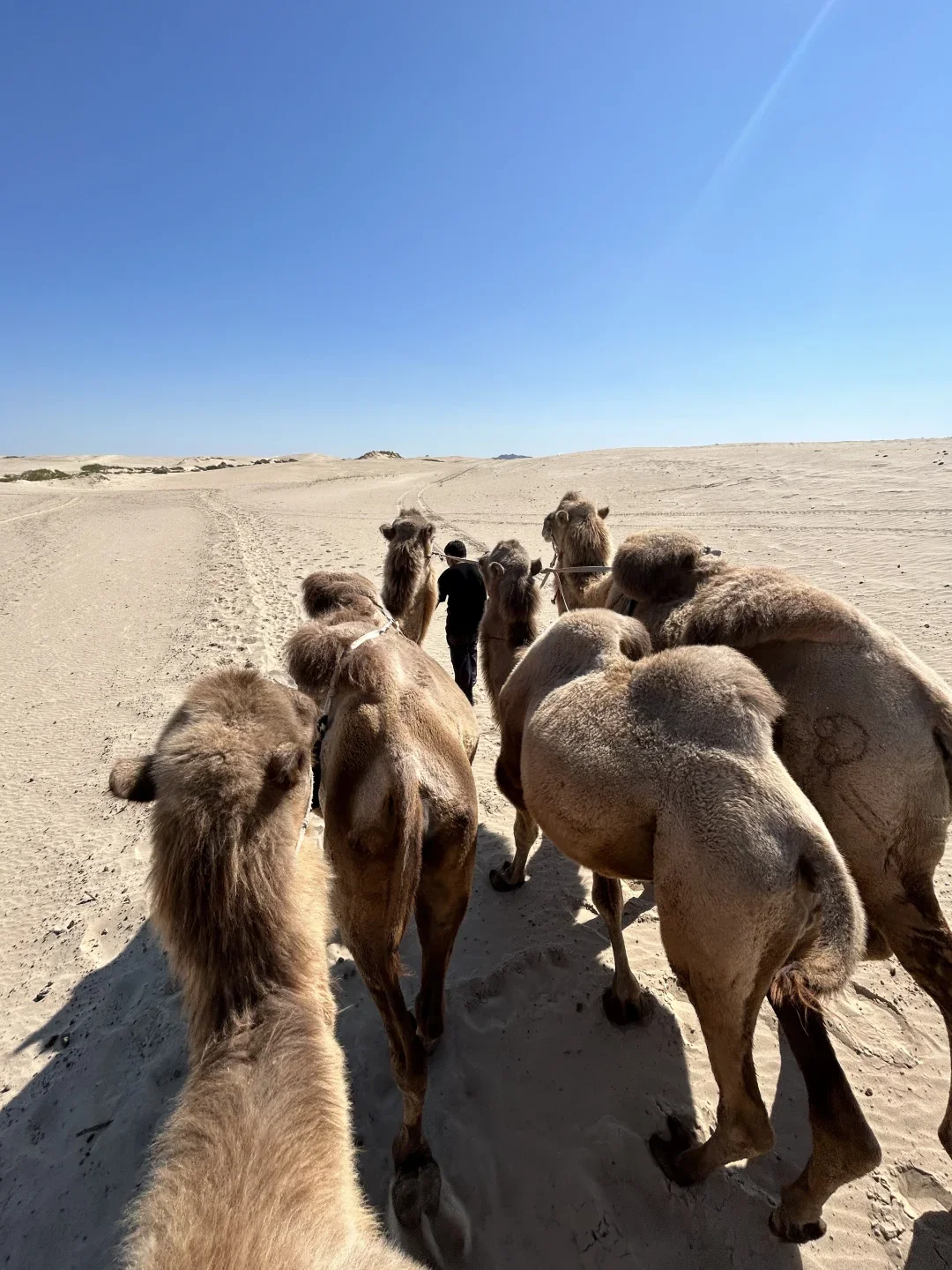 📍5.20北戴河已回。。😭我是真的崩溃了