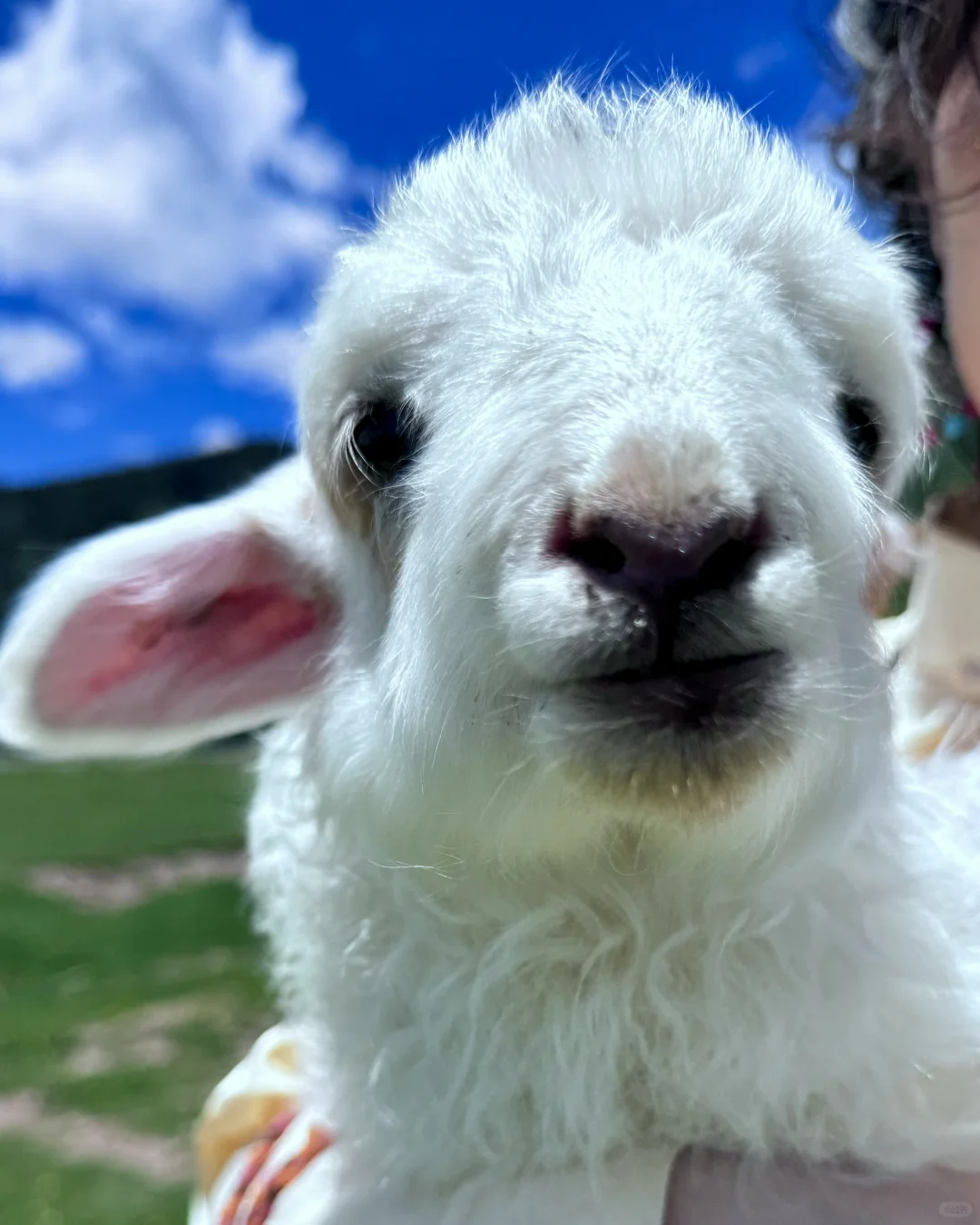 纯手写云南10日游攻略，人均3400无跟团