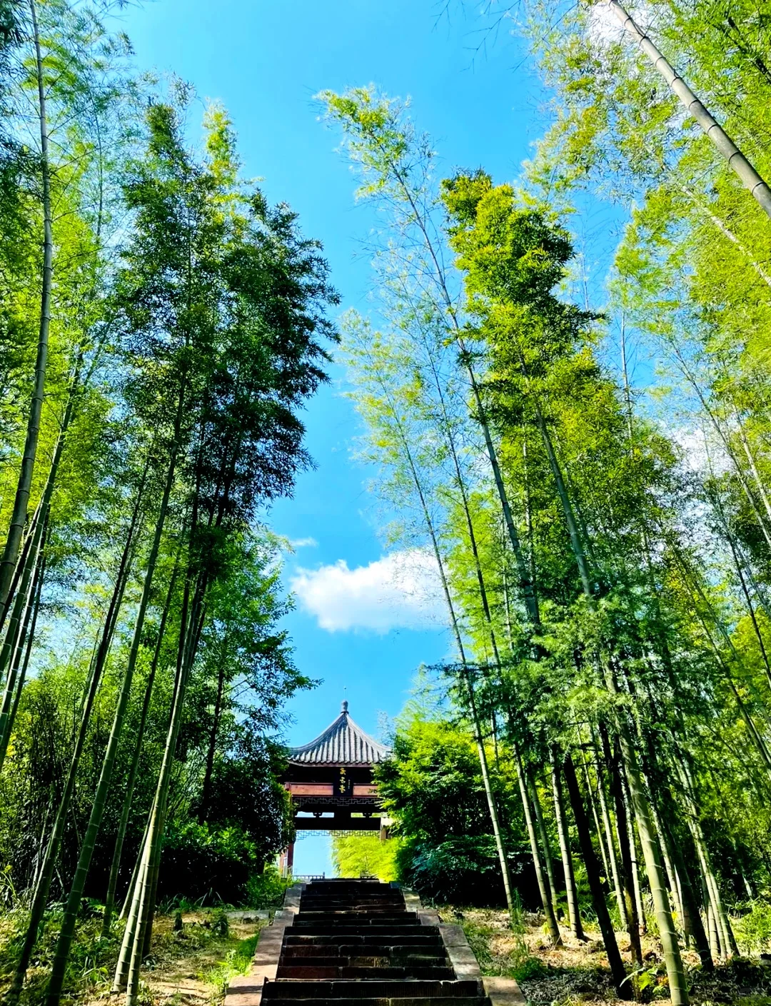 🔥贵州绝美秘境，旅游攻略大公开！