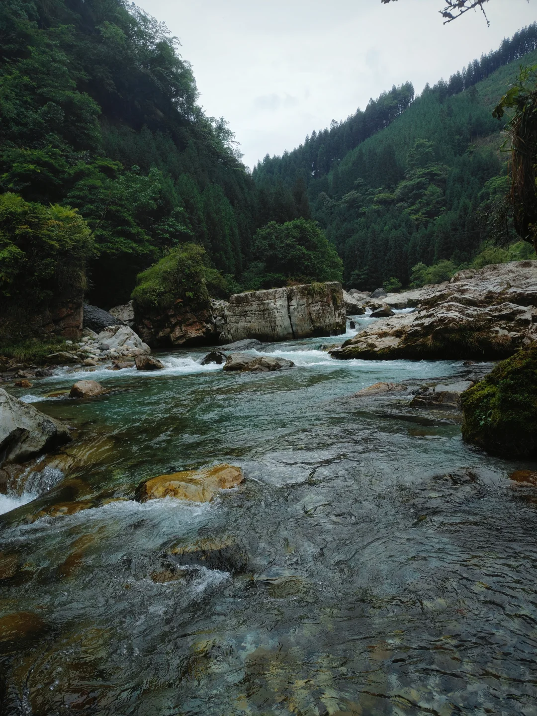 人少绝美瀑布🌿我闯入了绿野仙踪玻璃海！