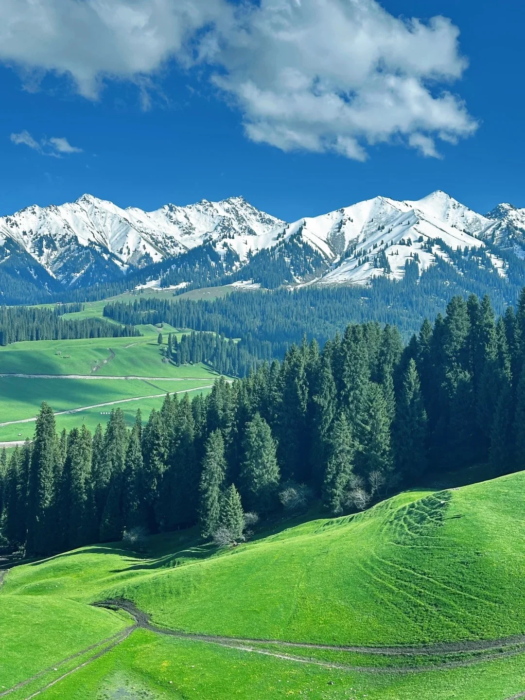 五一小长假保姆级伊犁游玩路线