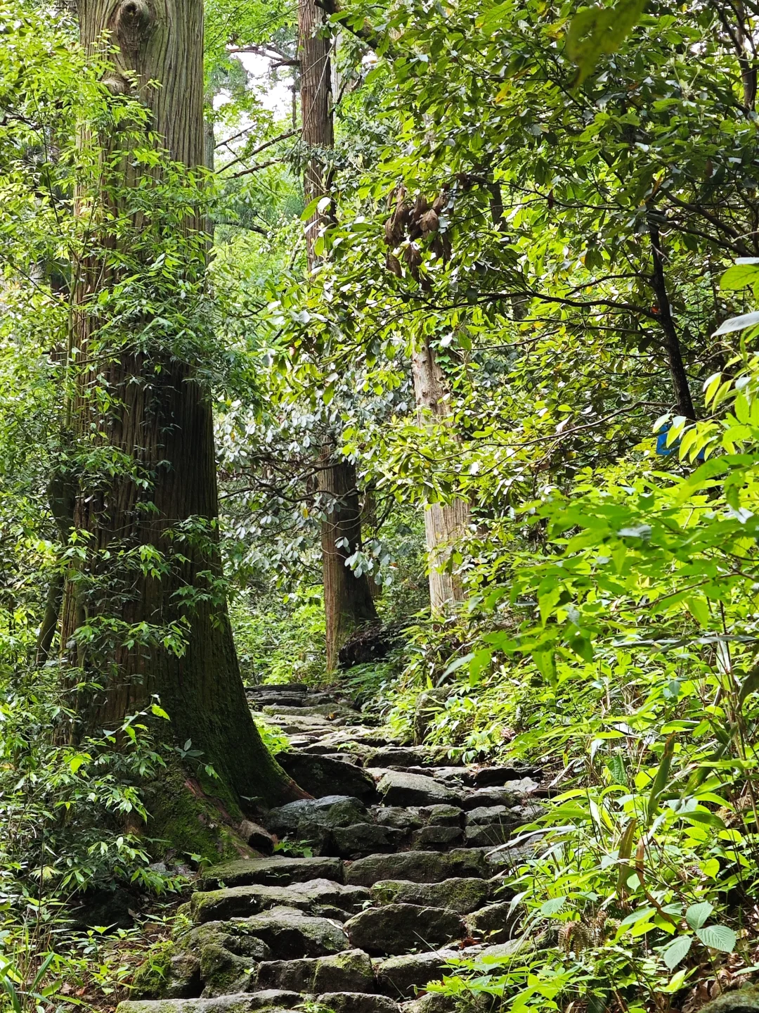 盛夏来临之前，有幸遇见
