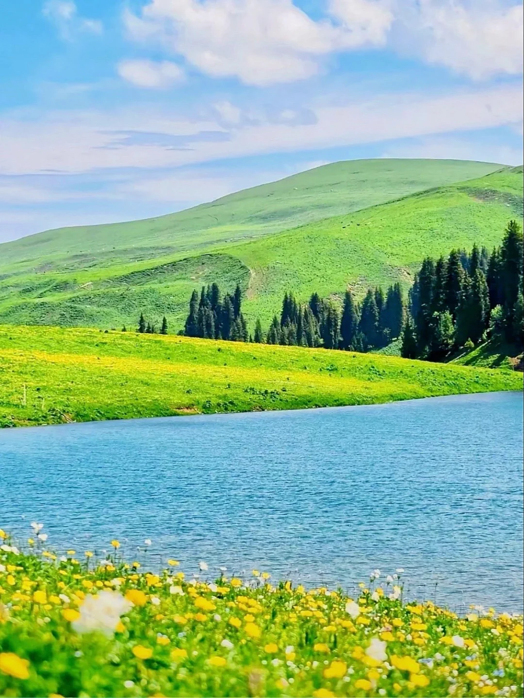 5-6月初夏的新疆美翻了‼祛魅不了一点😭