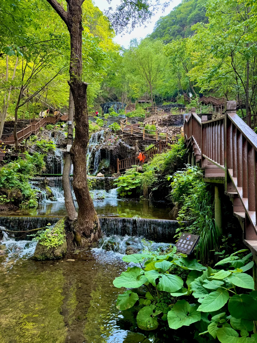 藏不住了‼️发现河南私藏绿野仙踪瀑布秘境🍃