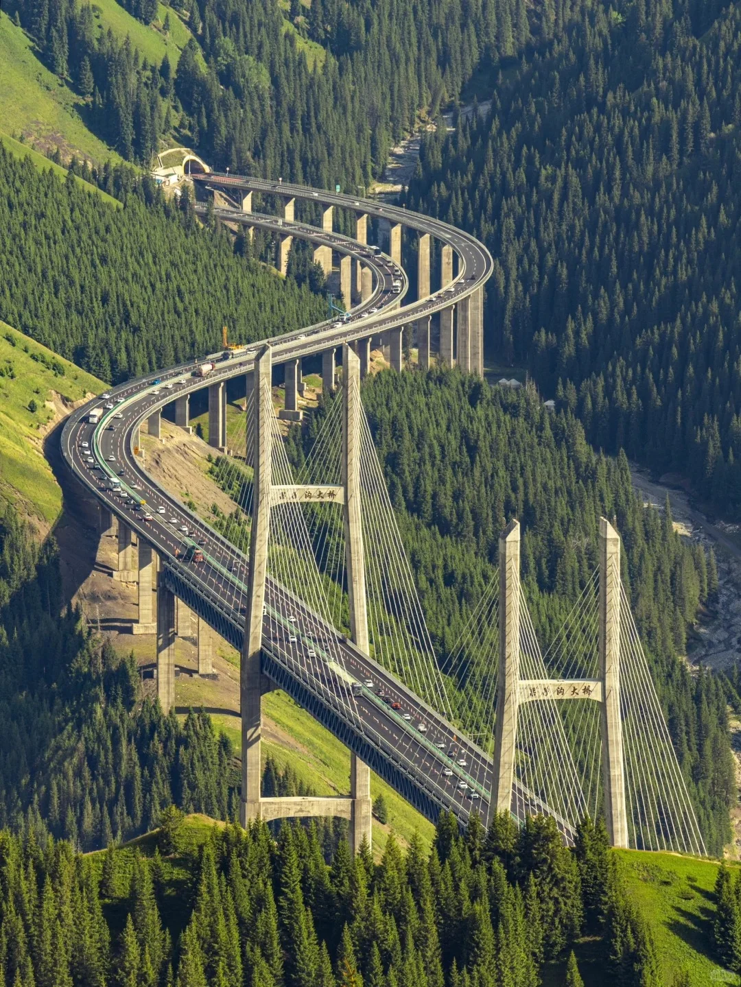 五一小长假保姆级伊犁游玩路线