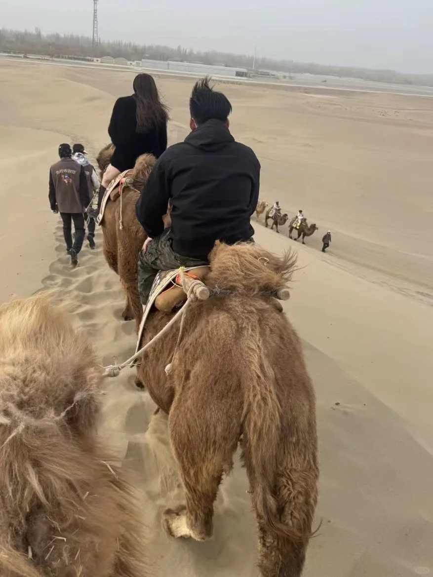 西北小团已回，大力推荐我报的小团不是托！