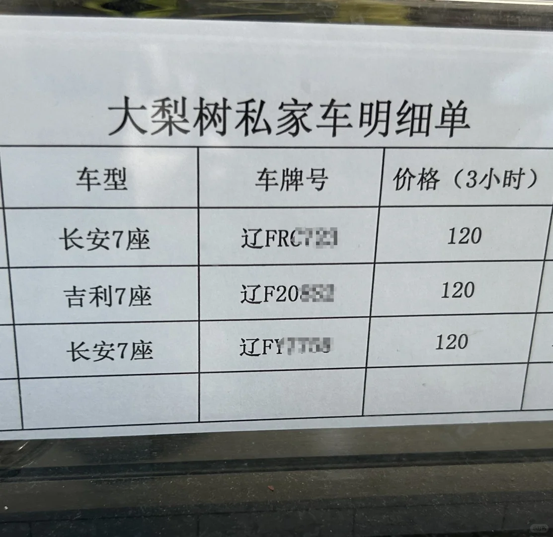 凤城大梨树·一日遛娃