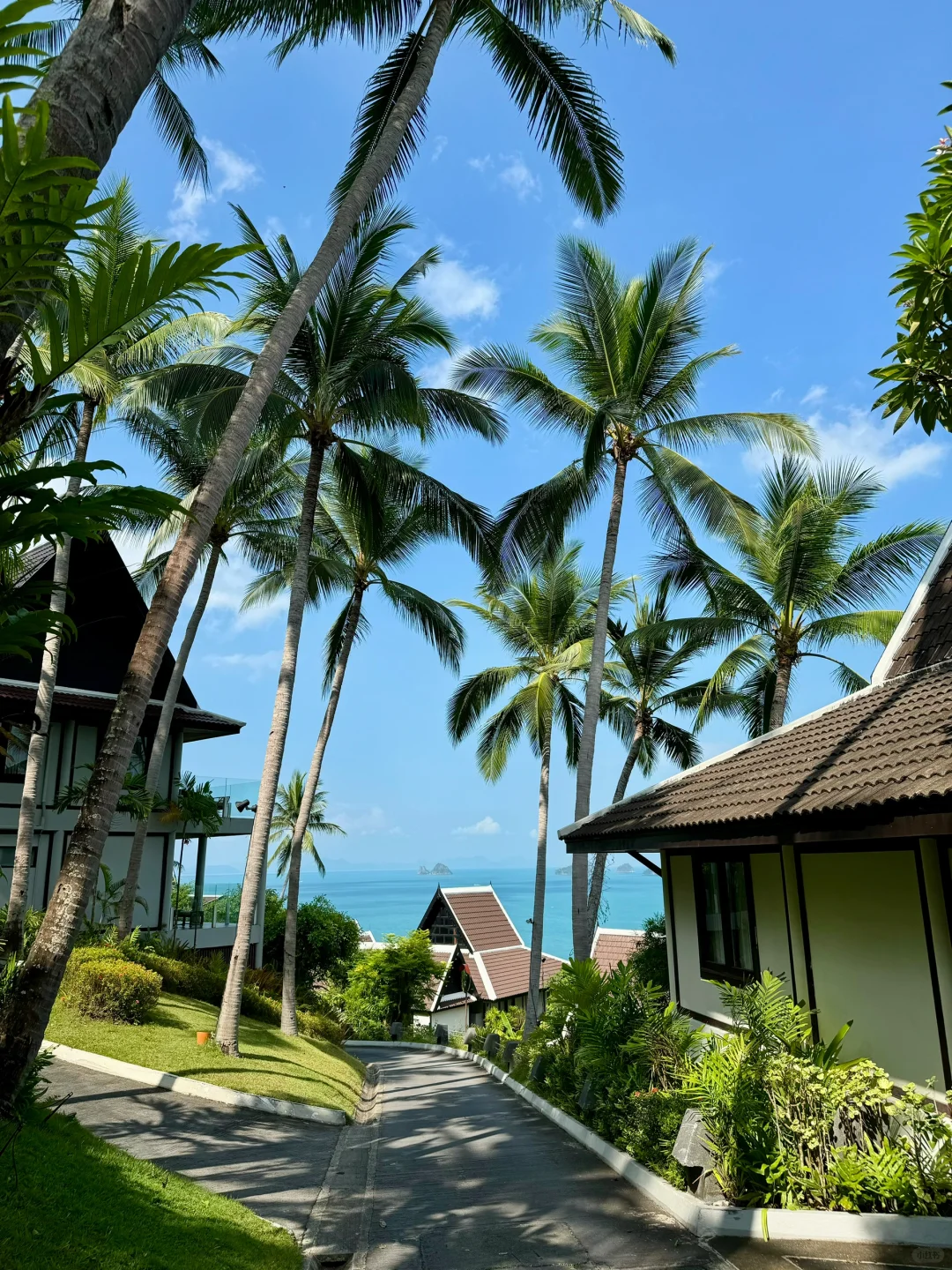 突然觉得人生真的可以很美好