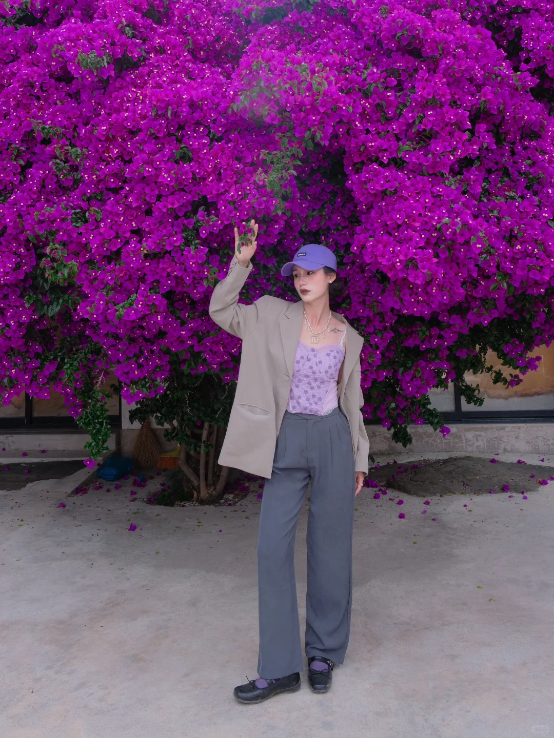 满墙热烈的初夏