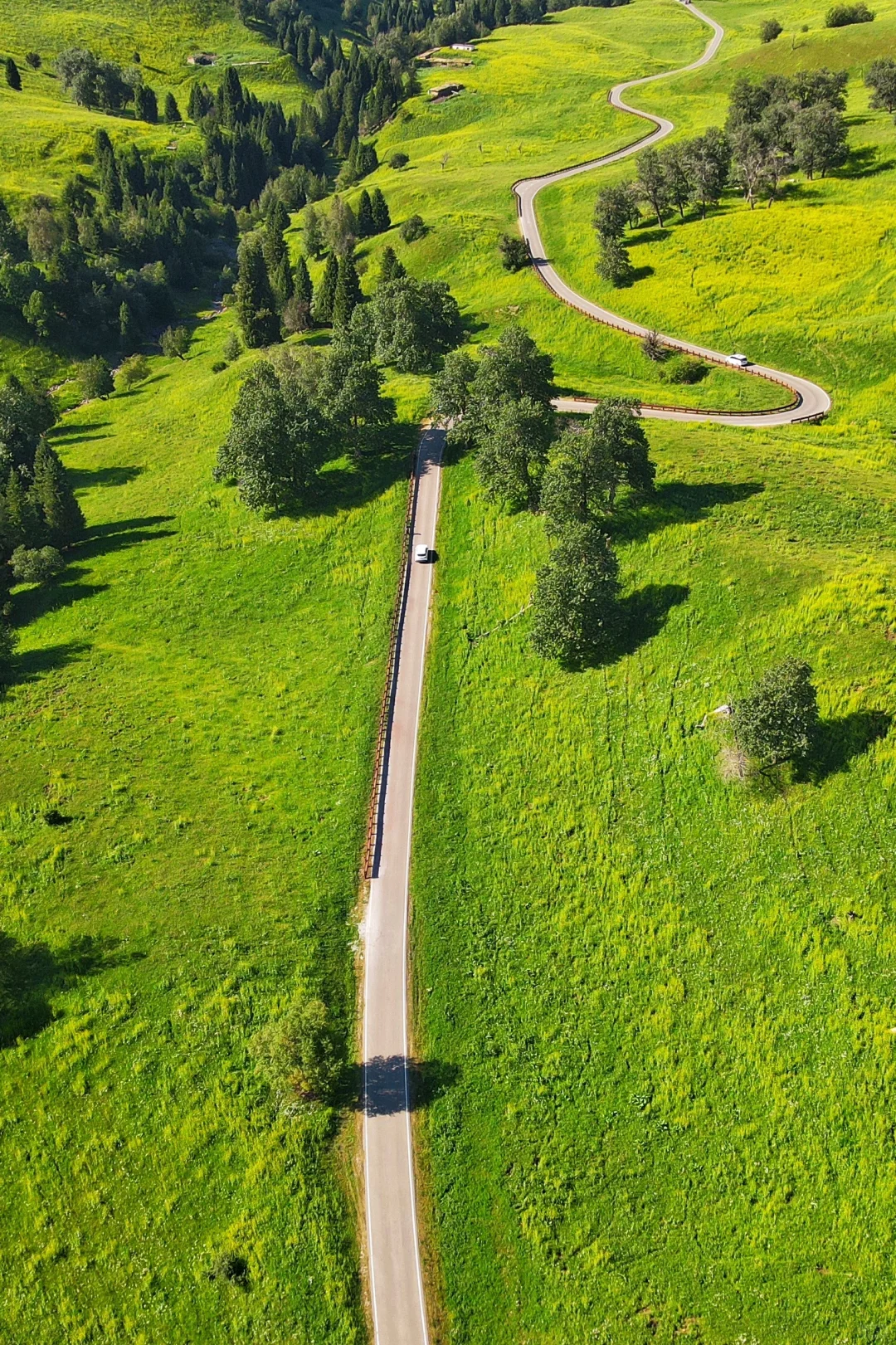 去过十几次新疆，说说我心中最美草原前三