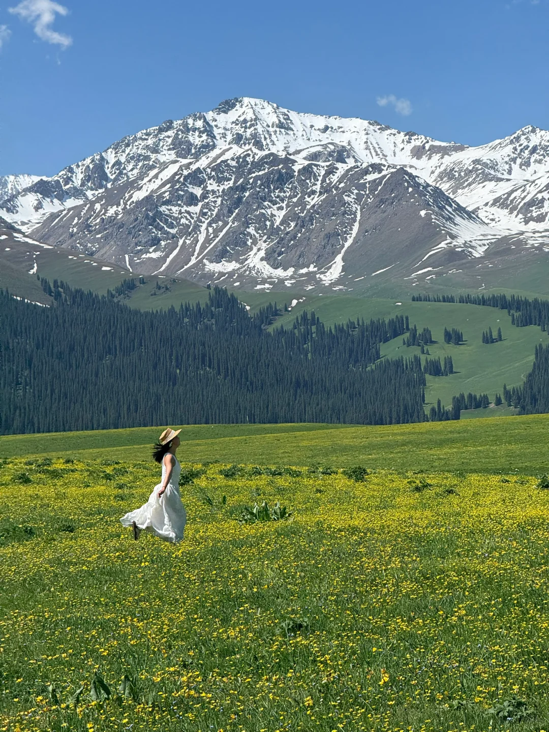Live图的意义，我终于找到了梦中的那片草原