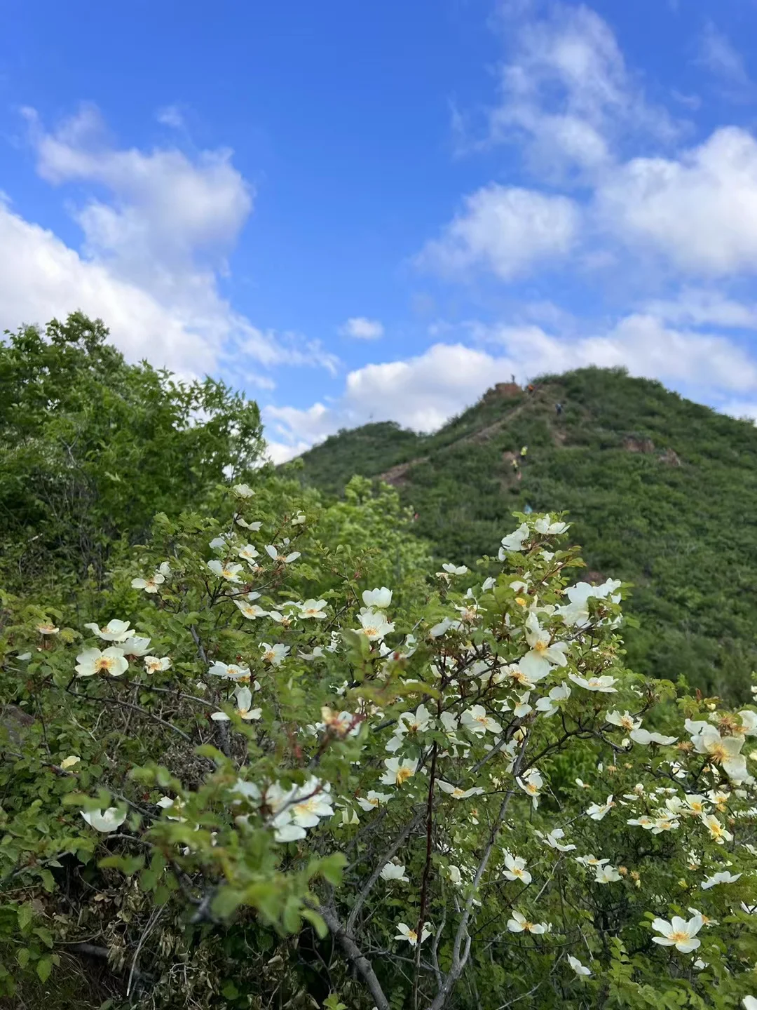 大境门越野赛最美的落日时光
