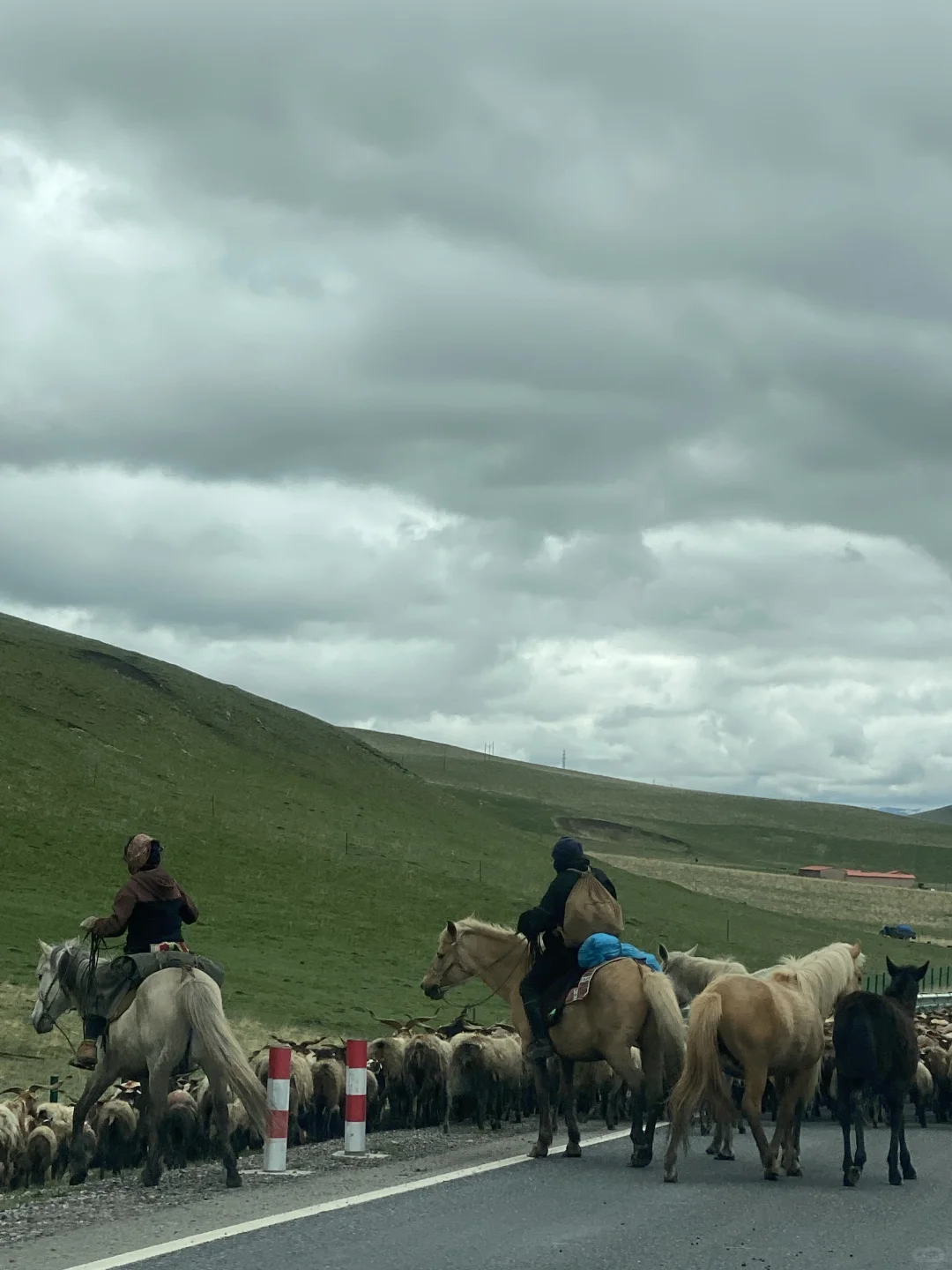 五一假期甘南3天2晚路线｜小众旅行地推荐‼️