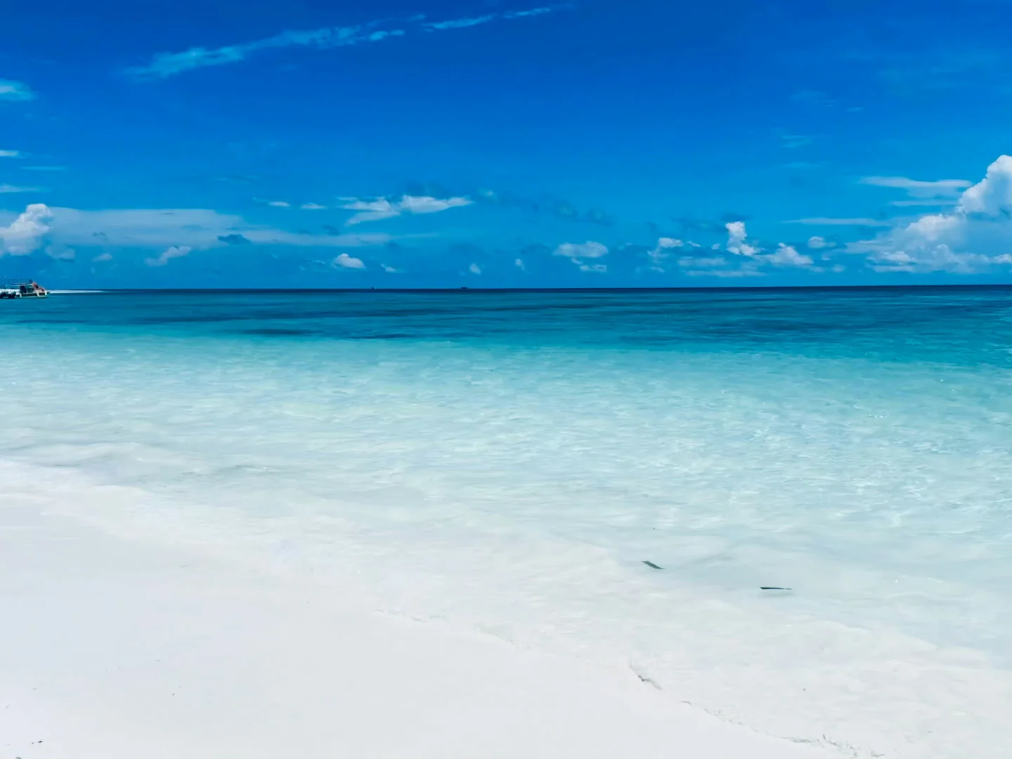 别信“小众海岛”鬼话!北海涠洲岛明明藏着….