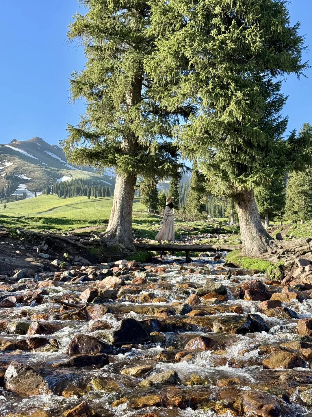 Live图的意义，我终于找到了梦中的那片草原