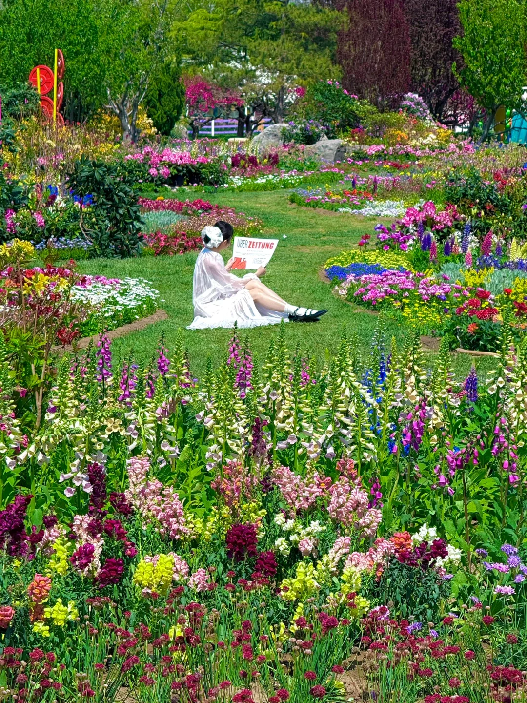 4.15实拍live，北京有自己的莫奈花园‼️