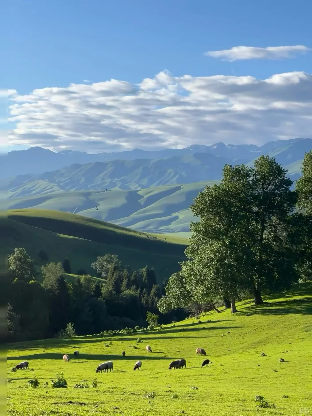 📍5.20北戴河已回。。😭我是真的崩溃了