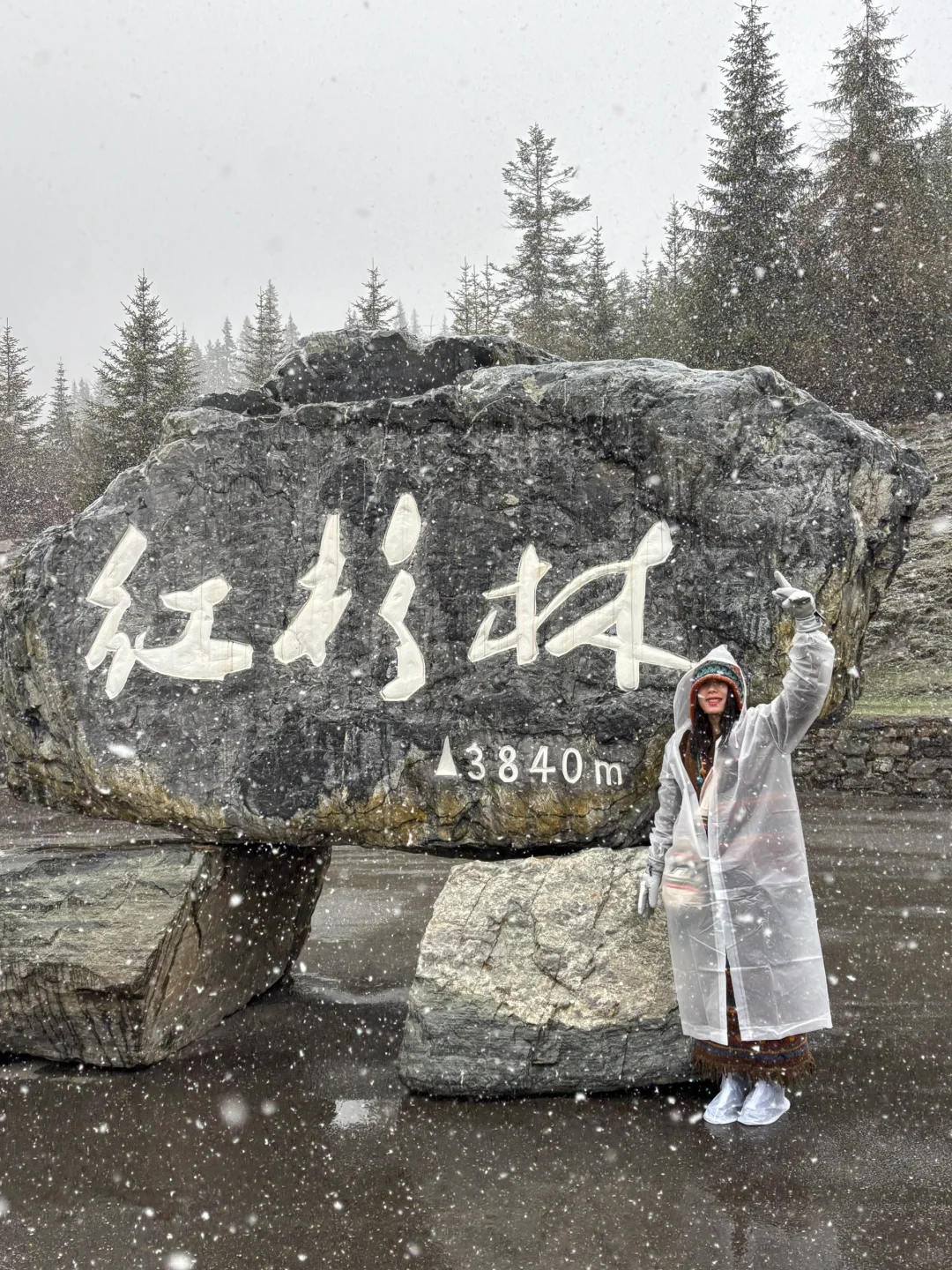 五一四川精华游：九寨沟四姑娘山熊猫基地三