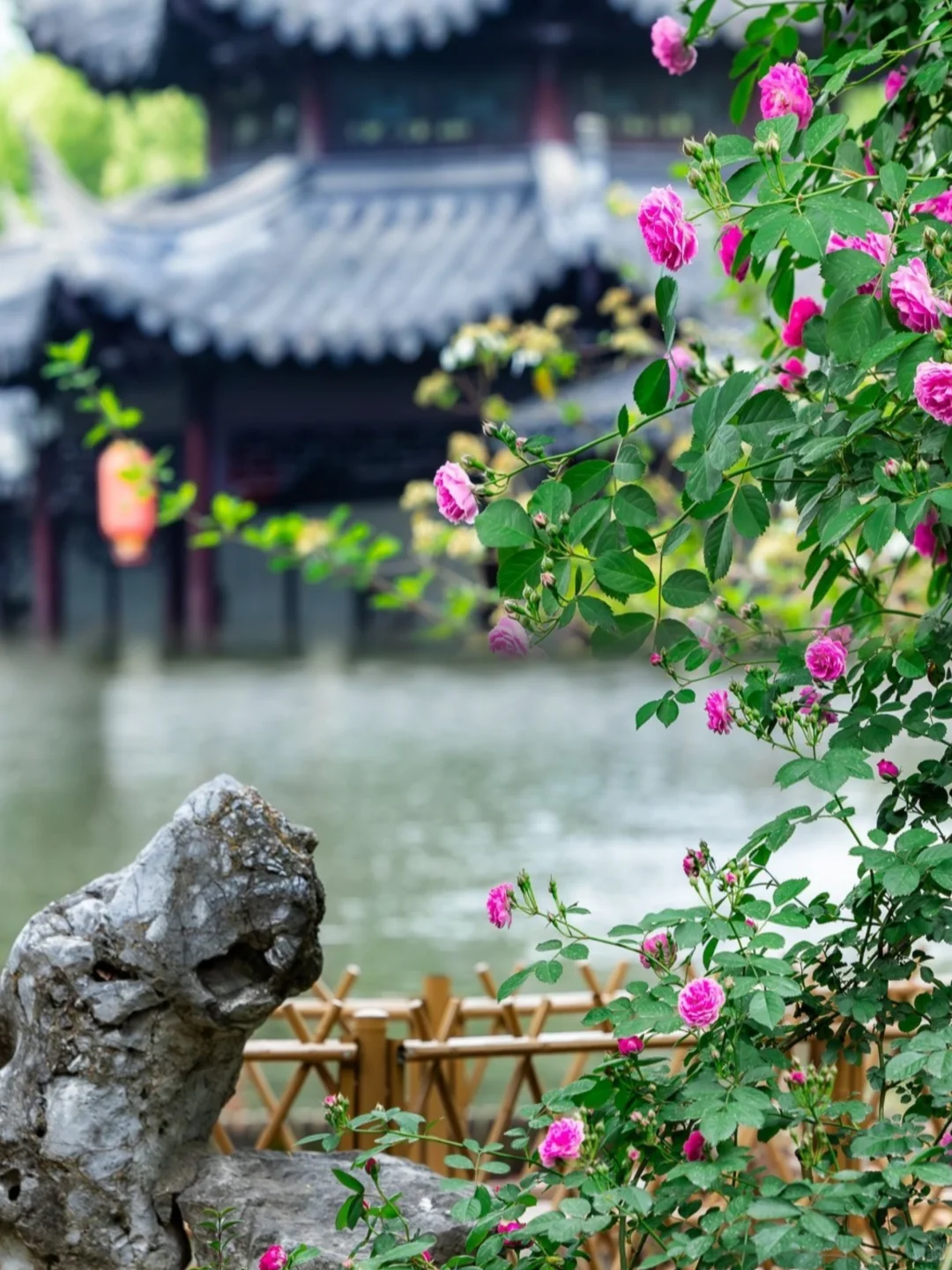 🏞️五月份必去的六大绝美景点！速速出发