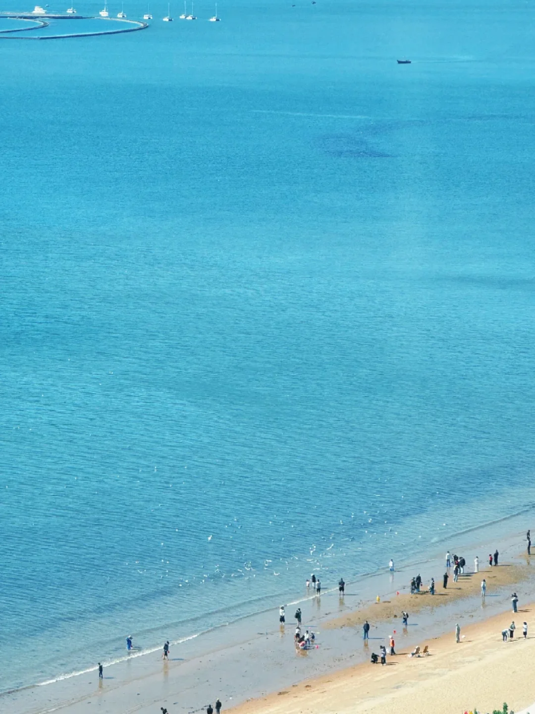 📍5.20北戴河已回。。😭我是真的崩溃了